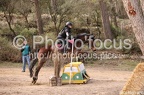 Poney Elite