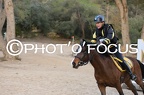 As Poney 2