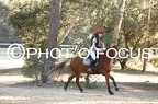 Poney 1