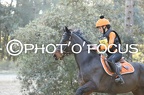 Poney Elite