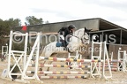 Poney 1