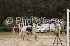 Poney 4