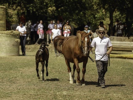  MG 3004