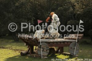 AS_Poney_Elite_Cross_16h34_202.jpg