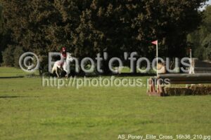 AS_Poney_Elite_Cross_16h36_210.jpg