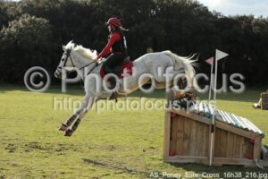 AS_Poney_Elite_Cross_16h38_216.jpg