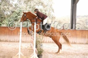 Amateur_2_CSO_17h11_107.jpg