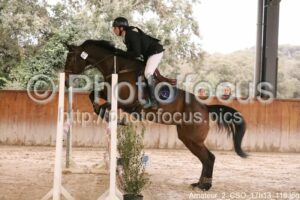 Amateur_2_CSO_17h13_118.jpg