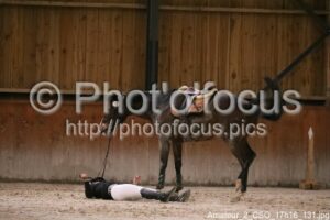 Amateur_2_CSO_17h16_131.jpg