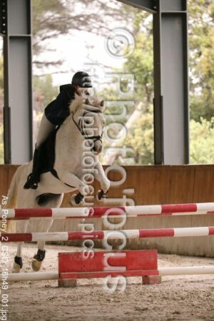 As_Poney_2_CSO_16h49_001.jpg
