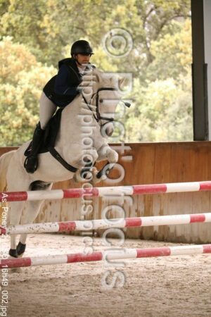 As_Poney_2_CSO_16h49_002.jpg