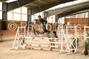 As_Poney_2_CSO_16h51_011.jpg