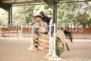 As_Poney_2_CSO_16h51_012.jpg
