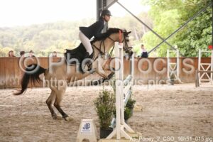 As_Poney_2_CSO_16h51_015.jpg