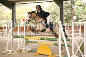 As_Poney_2_CSO_16h52_020.jpg