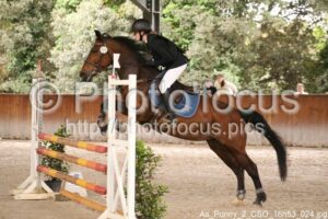 As_Poney_2_CSO_16h53_024.jpg