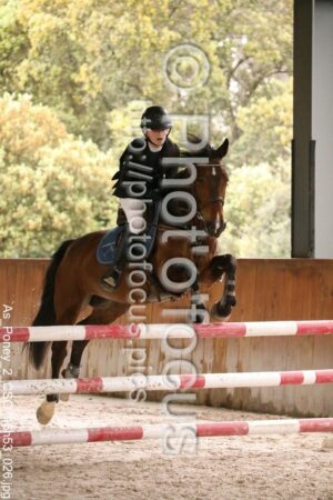 As_Poney_2_CSO_16h53_026.jpg