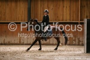 As_Poney_2_CSO_16h54_029.jpg