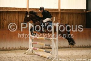 As_Poney_2_CSO_16h54_030.jpg
