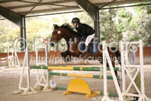 As_Poney_2_CSO_16h54_031.jpg