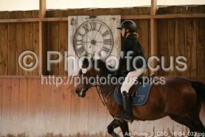 As_Poney_2_CSO_16h54_033.jpg