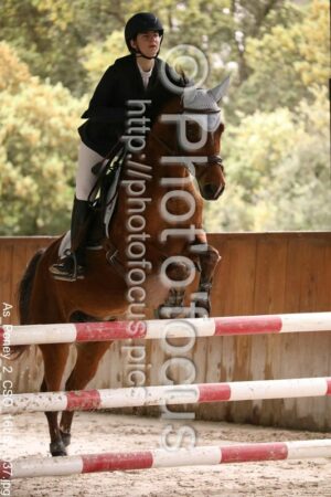 As_Poney_2_CSO_16h55_037.jpg