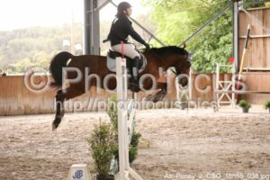 As_Poney_2_CSO_16h55_038.jpg