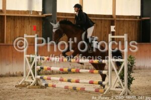 As_Poney_2_CSO_16h55_041.jpg