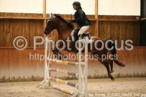 As_Poney_2_CSO_16h55_042.jpg