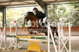 As_Poney_2_CSO_16h56_043.jpg