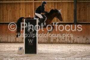 As_Poney_2_CSO_16h56_044.jpg