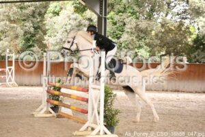 As_Poney_2_CSO_16h58_047.jpg