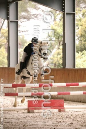 As_Poney_2_CSO_16h59_048.jpg
