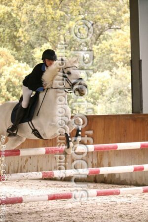 As_Poney_2_CSO_16h59_049.jpg