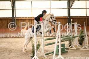 As_Poney_2_CSO_16h59_051.jpg