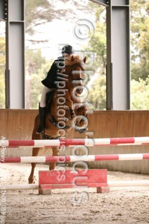As_Poney_2_CSO_17h00_059.jpg