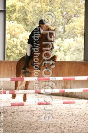 As_Poney_2_CSO_17h00_060.jpg