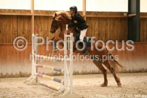 As_Poney_2_CSO_17h01_064.jpg