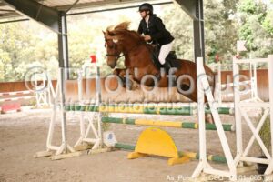 As_Poney_2_CSO_17h01_065.jpg