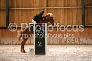 As_Poney_2_CSO_17h01_066.jpg