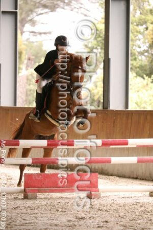As_Poney_2_CSO_17h03_070.jpg