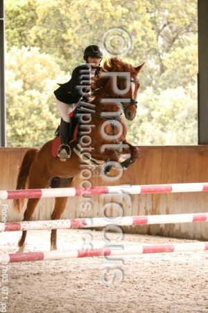 As_Poney_2_CSO_17h03_071.jpg