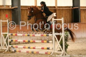 As_Poney_2_CSO_17h03_075.jpg