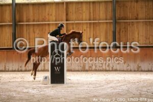 As_Poney_2_CSO_17h03_078.jpg