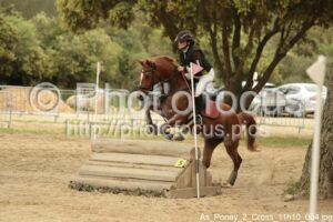 As_Poney_2_Cross_11h10_004.jpg