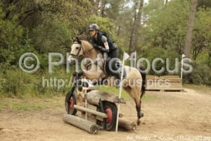 As_Poney_2_Cross_11h22_023.jpg