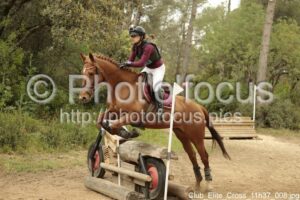 Club_Elite_Cross_11h37_008.jpg