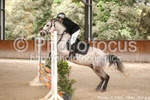 Poney_1_CSO_15h41_002.jpg