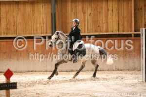 Poney_1_CSO_15h42_006.jpg