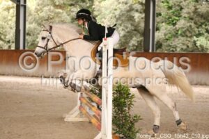 Poney_1_CSO_15h42_010.jpg